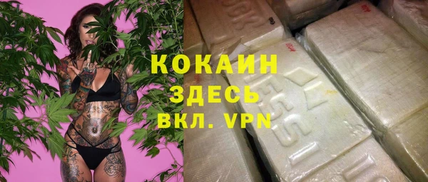 первитин Гусев