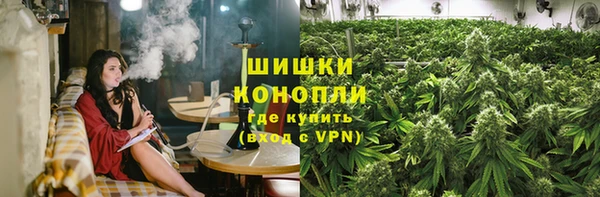 сатива Богородицк