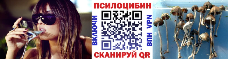 Галлюциногенные грибы прущие грибы  Голицыно 